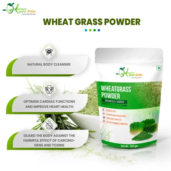 Buy Wheat Grass Powder online in India